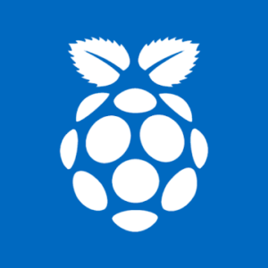 Raspberry Pi Monitor